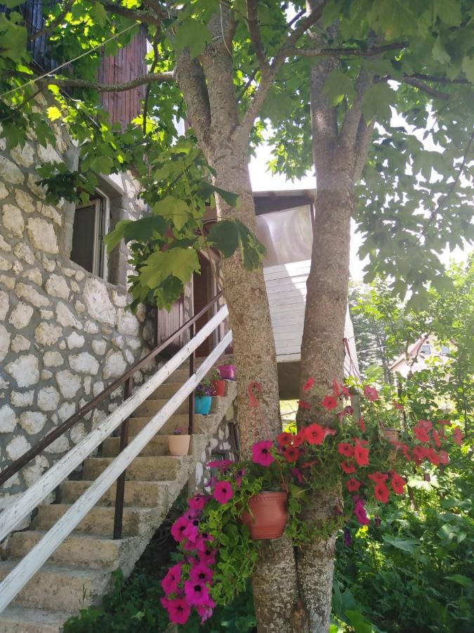 Apartment Dobre Vode Žabljak Exterior foto